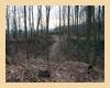 Hohenkottenheim-Fussweg zum Burgstall